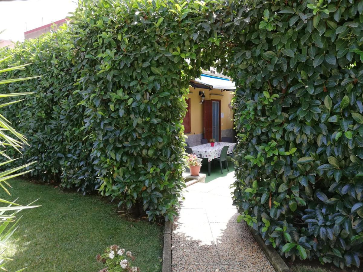 Depandance Con Piscina In Uso In Esclusivo In B&B SantʼAntonio Abate Extérieur photo